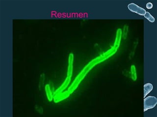 Resumen 