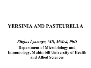 YERSINIA AND PASTEURELLA  Eligius Lyamuya, MD, MMed, PhD Department of Microbiology and Immunology, Muhimbili University of Health and Allied Sciences 