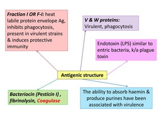 Antigenic structure
Fraction I OR F-I: heat
labile protein envelope Ag,
inhibits phagocytosis,
present in virulent strains
& induces protective
immunity
Bacteriocin (Pesticin I) ,
fibrinolysin, Coagulase
V & W proteins:
Virulent, phagocytosis
Endotoxin (LPS) similar to
entric bacteria, k/a plague
toxin
The ability to absorb haemin &
produce purines have been
associated with virulence
 