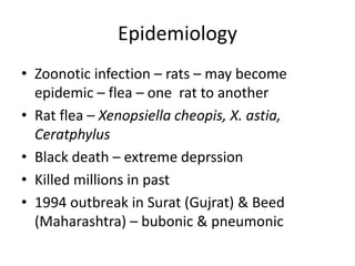 Epidemiology
• Zoonotic infection – rats – may become
epidemic – flea – one rat to another
• Rat flea – Xenopsiella cheopis, X. astia,
Ceratphylus
• Black death – extreme deprssion
• Killed millions in past
• 1994 outbreak in Surat (Gujrat) & Beed
(Maharashtra) – bubonic & pneumonic
 