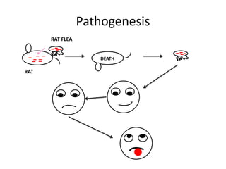 RAT
Pathogenesis
DEATH
RAT FLEA
 