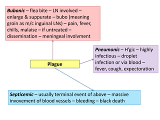 Plague
Bubonic – flea bite – LN involved –
enlarge & suppurate – bubo (meaning
groin as m/c inguinal LNs) – pain, fever,
chills, malaise – if untreated –
dissemination – meningeal involvment
Pneumonic – H’gic – highly
infectious – droplet
infection or via blood –
fever, cough, expectoration
Septicemic – usually terminal event of above – massive
invovement of blood vessels – bleeding – black death
 