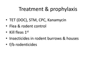 Treatment & prophylaxis
• TET (DOC), STM, CPC, Kanamycin
• Flea & rodent control
• Kill fleas 1st
• Insecticides in rodent burrows & houses
• f/b rodenticides
 