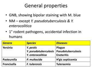 General properties
• GNB, showing bipolar staining with M. blue
• NM – except Y. pseudotuberculosis & Y.
enterocolitica
• 1° rodent pathogens, accidental infection in
humans
Genera Species Diseases
Yersinia Y. pestis
Y. pseudotuberculosis
Y. enterocolitica
Plague
Pseudotuberculosis
Eneteritis
Pasteurella P. multocida H’gic septicemia
Francisella F. tularensis Tuleraemia
 