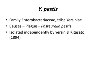 Y. pestis
• Family Enterobacteriaceae, tribe Yersiniae
• Causes – Plague – Pasteurella pestis
• Isolated independently by Yersin & Kitasato
(1894)
 