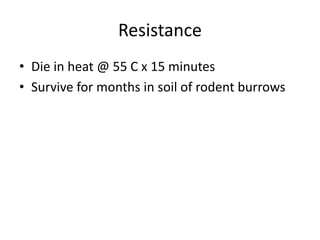 Resistance
• Die in heat @ 55 C x 15 minutes
• Survive for months in soil of rodent burrows
 