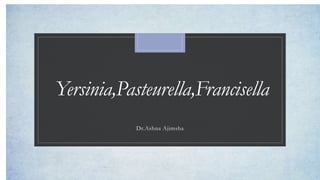 Yersinia,Pasteurella,Francisella
Dr.Ashna Ajimsha
 