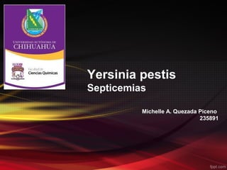 Yersinia pestis
Septicemias

          Michelle A. Quezada Piceno
                              235891
 