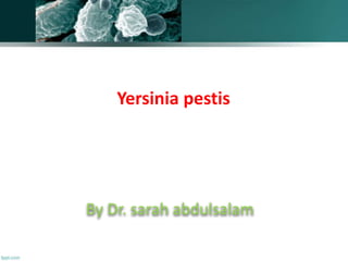 By Dr. sarah abdulsalam
Yersinia pestis
 