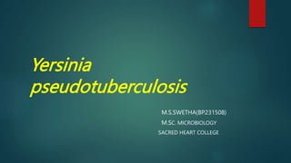 Yersinia
pseudotuberculosis
M.S.SWETHA(BP231508)
M.SC. MICROBIOLOGY
SACRED HEART COLLEGE
 