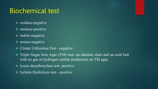 BACTERIOLOGY YERSINIA PSEUDOTUBERCULOSIS.pptx