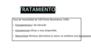 Tasa de mortalidad de 50% Peste Neumónica 100%.
• Estreptomicina { de elección
• Gentamicina{ eficaz y mas disponible.
• Doxiciclina{ fármaco alternativo {a veces se combina con Estreptomic
 