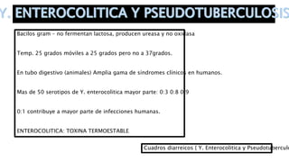 Bacilos gram – no fermentan lactosa, producen ureasa y no oxidasa
Temp. 25 grados móviles a 25 grados pero no a 37grados.
En tubo digestivo (animales) Amplia gama de síndromes clínicos en humanos.
Mas de 50 serotipos de Y. enterocolitica mayor parte: 0:3 0:8 0:9
0:1 contribuye a mayor parte de infecciones humanas.
ENTEROCOLITICA: TOXINA TERMOESTABLE
Cuadros diarreicos { Y. Enterocolitica y Pseudotuberculo
 