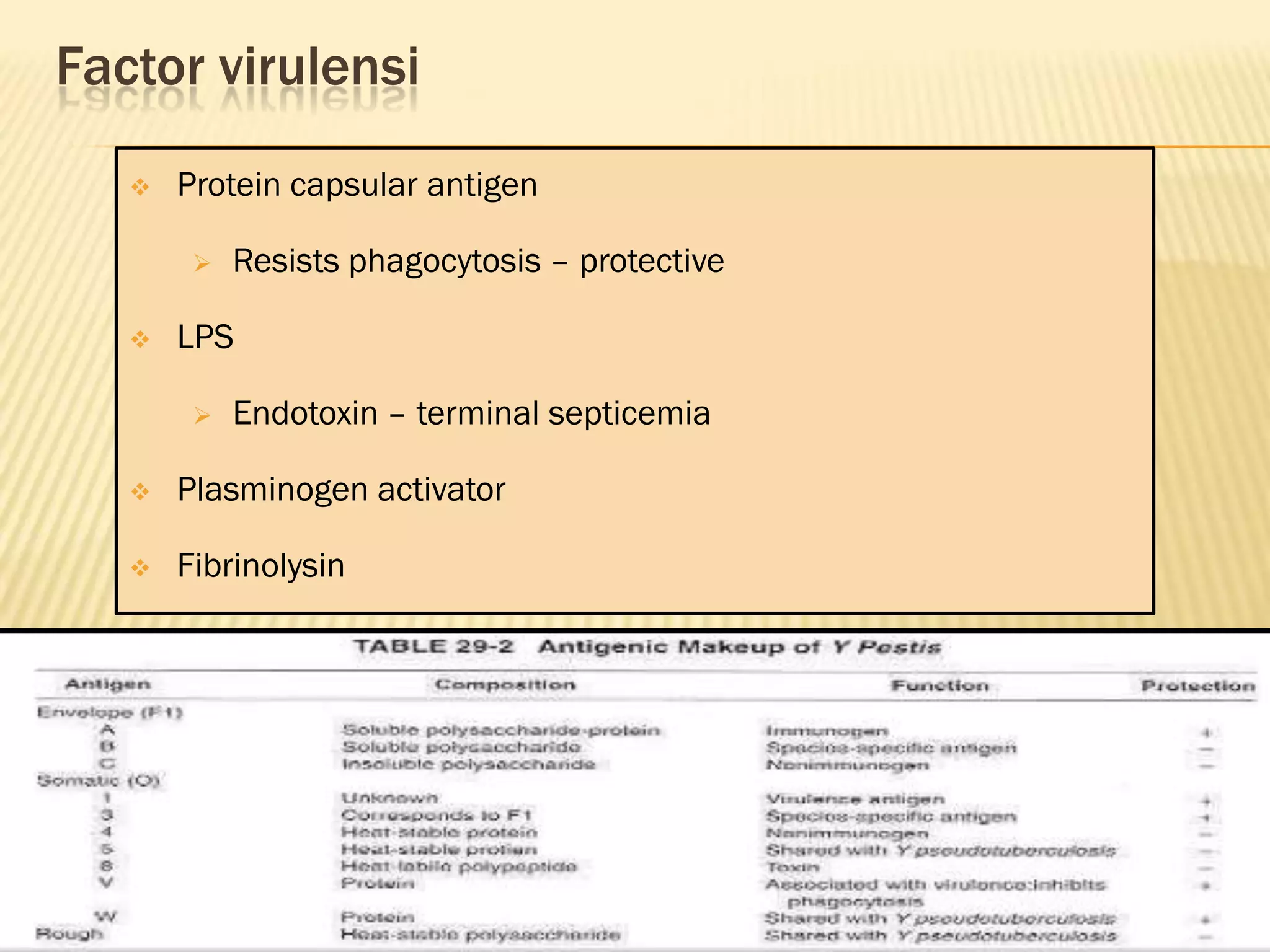 Factor virulensi
      Protein capsular antigen

           Resists phagocytosis – protective

      LPS

           Endotoxin – terminal septicemia

      Plasminogen activator

      Fibrinolysin
 
