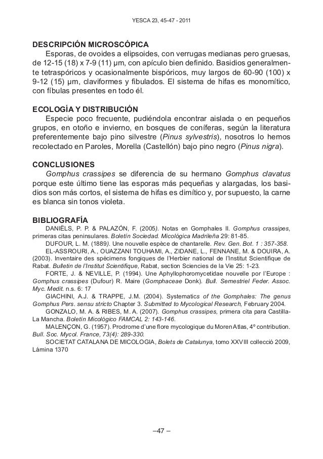 Donde conocer chicos de navas del madroño Donde conocer chicos de navas del madroño