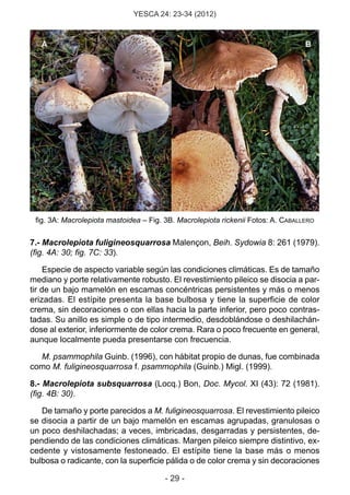 Yesca%2024 | PDF