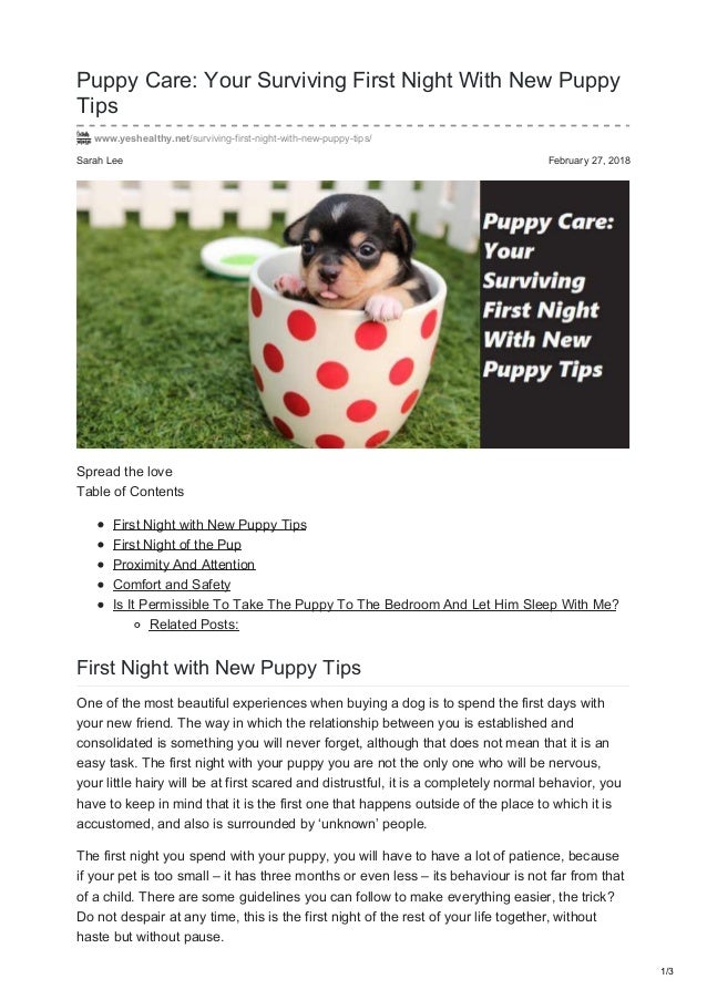Yeshealthy Net Puppy Care Your Surviving First Night With New Puppy T