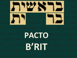 PACTO
B’RIT
 