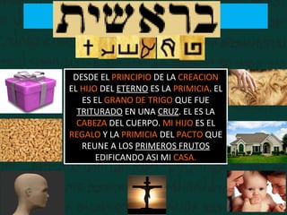 DESDE EL PRINCIPIO DE LA CREACION
EL HIJO DEL ETERNO ES LA PRIMICIA. EL
ES EL GRANO DE TRIGO QUE FUE
TRITURADO EN UNA CRUZ. EL ES LA
CABEZA DEL CUERPO. MI HIJO ES EL
REGALO Y LA PRIMICIA DEL PACTO QUE
REUNE A LOS PRIMEROS FRUTOS
EDIFICANDO ASI MI CASA.
 