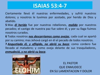 ISAIAS 53:4-7
Ciertamente llevó él nuestras enfermedades, y sufrió nuestros
dolores; y nosotros le tuvimos por azotado, por herido de Dios y
abatido.
5 Mas él herido fue por nuestras rebeliones, molido por nuestros
pecados; el castigo de nuestra paz fue sobre él, y por su llaga fuimos
nosotros curados.
6 Todos nosotros nos descarriamos como ovejas, cada cual se apartó
por su camino; mas Jehová cargó en él el pecado de todos nosotros.
7 Angustiado él, y afligido, no abrió su boca; como cordero fue
llevado al matadero; y como oveja delante de sus trasquiladores,
enmudeció, y no abrió su boca.
ELOHIM
EL PASTOR
QUE ENMUDECE
EN SU LAMENTACION Y DOLOR
 