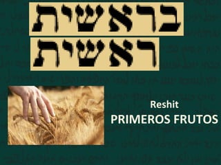 Reshit
PRIMEROS FRUTOS
 