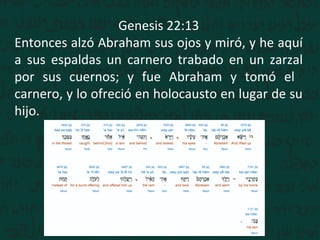 Genesis 22:13
Entonces alzó Abraham sus ojos y miró, y he aquí
a sus espaldas un carnero trabado en un zarzal
por sus cuernos; y fue Abraham y tomó el
carnero, y lo ofreció en holocausto en lugar de su
hijo.
 
