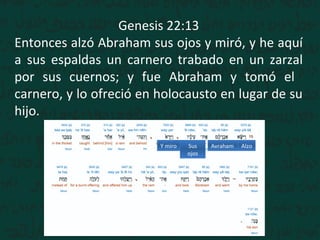 Genesis 22:13
Entonces alzó Abraham sus ojos y miró, y he aquí
a sus espaldas un carnero trabado en un zarzal
por sus cuernos; y fue Abraham y tomó el
carnero, y lo ofreció en holocausto en lugar de su
hijo.
AlzoAvrahamSus
ojos
Y miro
 