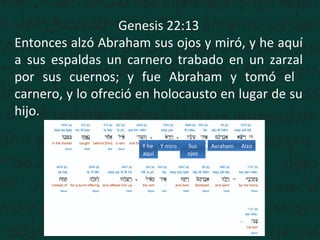 Genesis 22:13
Entonces alzó Abraham sus ojos y miró, y he aquí
a sus espaldas un carnero trabado en un zarzal
por sus cuernos; y fue Abraham y tomó el
carnero, y lo ofreció en holocausto en lugar de su
hijo.
AlzoAvrahamSus
ojos
Y miroY he
aquí
 