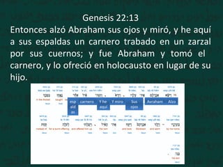 Genesis 22:13
Entonces alzó Abraham sus ojos y miró, y he aquí
a sus espaldas un carnero trabado en un zarzal
por sus cuernos; y fue Abraham y tomó el
carnero, y lo ofreció en holocausto en lugar de su
hijo.
AlzoAvrahamSus
ojos
Y miroY he
aquí
carneroesp
ald
as
 