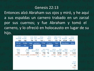 Genesis 22:13
Entonces alzó Abraham sus ojos y miró, y he aquí
a sus espaldas un carnero trabado en un zarzal
por sus cuernos; y fue Abraham y tomó el
carnero, y lo ofreció en holocausto en lugar de su
hijo.
AlzoAvrahamSus
ojos
Y miroY he
aquí
esp
ald
as
traba
do
En un
zarzal
carnero
 