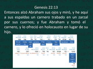 Genesis 22:13
Entonces alzó Abraham sus ojos y miró, y he aquí
a sus espaldas un carnero trabado en un zarzal
por sus cuernos; y fue Abraham y tomó el
carnero, y lo ofreció en holocausto en lugar de su
hijo.
AlzoAvrahamSus
ojos
Y miroY he
aquí
esp
ald
as
traba
do
En un
zarzal
Por
sus
cuern
os
carnero
 