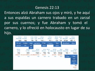 Genesis 22:13
Entonces alzó Abraham sus ojos y miró, y he aquí
a sus espaldas un carnero trabado en un zarzal
por sus cuernos; y fue Abraham y tomó el
carnero, y lo ofreció en holocausto en lugar de su
hijo.
AlzoAvrahamSus
ojos
Y miroY he
aquí
esp
ald
as
traba
do
En un
zarzal
Por
sus
cuern
os
Y fue
carnero
 