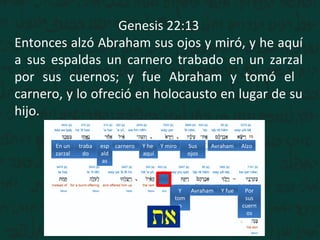 Genesis 22:13
Entonces alzó Abraham sus ojos y miró, y he aquí
a sus espaldas un carnero trabado en un zarzal
por sus cuernos; y fue Abraham y tomó el
carnero, y lo ofreció en holocausto en lugar de su
hijo.
AlzoAvrahamSus
ojos
Y miroY he
aquí
esp
ald
as
traba
do
En un
zarzal
Por
sus
cuern
os
Y fueAvrahamY
tom
o
carnero
 