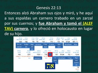 AlzoAvrahamSus
ojos
Y miroY he
aquí
esp
ald
as
traba
do
En un
zarzal
Por
sus
cuern
os
Y fueAvrahamY
tom
o
Genesis 22:13
Entonces alzó Abraham sus ojos y miró, y he aquí
a sus espaldas un carnero trabado en un zarzal
por sus cuernos; y fue Abraham y tomó el (ALEF
TAV) carnero, y lo ofreció en holocausto en lugar
de su hijo.
carnero
carnero
 