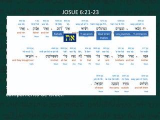 JOSUE 6:21-23
Y destruyeron a filo de espada todo lo que en la ciudad
había; hombres y mujeres, jóvenes y viejos, hasta los
bueyes, las ovejas, y los asnos.
22 Mas Josué dijo a los dos hombres que habían
reconocido la tierra: Entrad en casa de la mujer ramera, y
haced salir de allí a la mujer y a todo lo que fuere suyo,
como lo jurasteis.
23 Y los espías entraron y sacaron a Rahab, a su padre, a su
madre, a sus hermanos y todo lo que era suyo; y también
sacaron a toda su parentela, y los pusieron fuera del
campamento de Israel.
Y entraronLos jovenesQue eran
espias
Y sacaronRahab
 