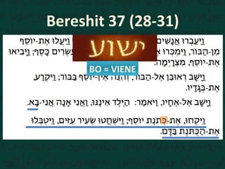 Parte  5 - Prueba Irrefutable de que Yeshua es el Mesias