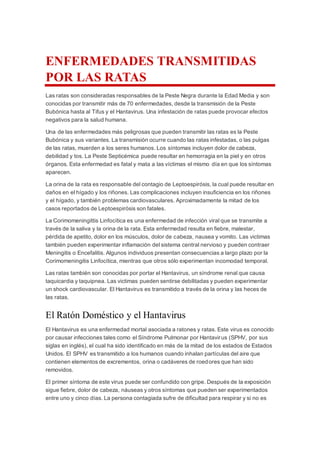 ENFERMEDADES TRANSMITIDAS
POR LAS RATAS
Las ratas son consideradas responsables de la Peste Negra durante la Edad Media y son
conocidas por transmitir más de 70 enfermedades, desde la transmisión de la Peste
Bubónica hasta al Tifus y el Hantavirus. Una infestación de ratas puede provocar efectos
negativos para la salud humana.
Una de las enfermedades más peligrosas que pueden transmitir las ratas es la Peste
Bubónica y sus variantes. La transmisión ocurre cuando las ratas infestadas, o las pulgas
de las ratas, muerden a los seres humanos. Los síntomas incluyen dolor de cabeza,
debilidad y tos. La Peste Septicémica puede resultar en hemorragia en la piel y en otros
órganos. Esta enfermedad es fatal y mata a las víctimas el mismo día en que los síntomas
aparecen.
La orina de la rata es responsable del contagio de Leptoespirósis, la cual puede resultar en
daños en el hígado y los riñones. Las complicaciones incluyen insuficiencia en los riñones
y el hígado, y también problemas cardiovasculares. Aproximadamente la mitad de los
casos reportados de Leptoespirósis son fatales.
La Corimomeningittis Linfocítica es una enfermedad de infección viral que se transmite a
través de la saliva y la orina de la rata. Esta enfermedad resulta en fiebre, malestar,
pérdida de apetito, dolor en los músculos, dolor de cabeza, nausea y vomito. Las victimas
también pueden experimentar inflamación del sistema central nervioso y pueden contraer
Meningitis o Encefalitis. Algunos individuos presentan consecuencias a largo plazo por la
Corimomeningitis Linfocítica, mientras que otros sólo experimentan incomodad temporal.
Las ratas también son conocidas por portar el Hantavirus, un síndrome renal que causa
taquicardia y taquipnea. Las victimas pueden sentirse debilitadas y pueden experimentar
un shock cardiovascular. El Hantavirus es transmitido a través de la orina y las heces de
las ratas.
El Ratón Doméstico y el Hantavirus
El Hantavirus es una enfermedad mortal asociada a ratones y ratas. Este virus es conocido
por causar infecciones tales como el Síndrome Pulmonar por Hantavirus (SPHV, por sus
siglas en inglés), el cual ha sido identificado en más de la mitad de los estados de Estados
Unidos. El SPHV es transmitido a los humanos cuando inhalan partículas del aire que
contienen elementos de excrementos, orina o cadáveres de roedores que han sido
removidos.
El primer síntoma de este virus puede ser confundido con gripe. Después de la exposición
sigue fiebre, dolor de cabeza, náuseas y otros síntomas que pueden ser experimentados
entre uno y cinco días. La persona contagiada sufre de dificultad para respirar y si no es
 
