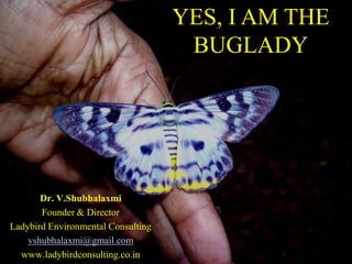 YES, I AM THE
BUGLADY
Dr. V.Shubhalaxmi
Founder & Director
Ladybird Environmental Consulting
vshubhalaxmi@gmail.com
www.ladybirdconsulting.co.in
 