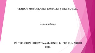 TEJIDOS MUSCULARES FACIALES Y DEL CUELLO
Jesica piñeres
INSTITUCION EDUCATIVA ALFONSO LOPEZ PUMAREJO
2015
 