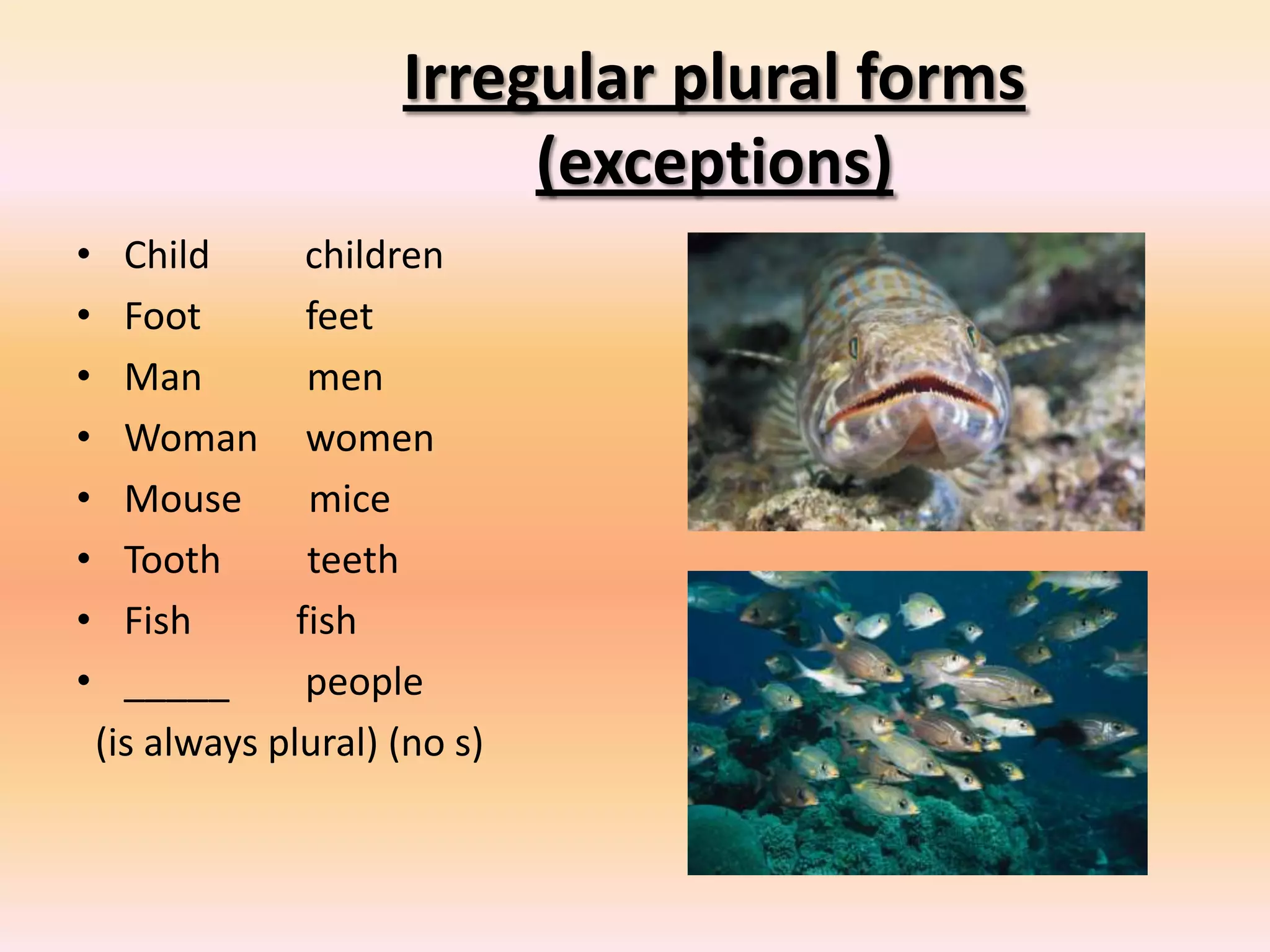 Irregular plural forms
(exceptions)
• Child children
• Foot feet
• Man men
• Woman women
• Mouse mice
• Tooth teeth
• Fish fish
• _____ people
(is always plural) (no s)
 