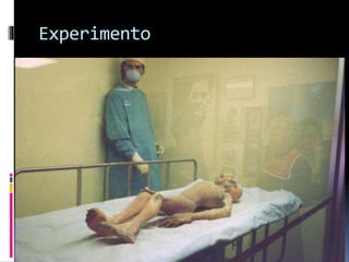 Experimento
 