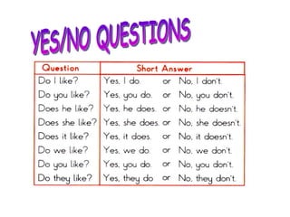 YES/NO QUESTIONS 