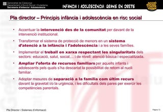 Accentuar la  intervenció des de la comunitat  per davant de la intervenció institucional. Transformar el sistema de protecció de menors en un  sistema d’atenció a la infància i l’adolescència  i a les seves famílies. Implementar el  treball en xarxa respectant les singularitats  dels sectors: educació, salut, social,... i de nivell: atenció bàsica i especialitzada. Ampliar l’oferta de recursos familiars   per aquells infants i adolescents pels quals s’ha descartat la possibilitat de retorn al nucli familiar. Adoptar mesures de  separació a la família com últim recurs  davant la gravetat i/o la urgència, i les dificultats dels pares per exercir les competències parentals. Pla director – Principis infància i adolescència en risc social 