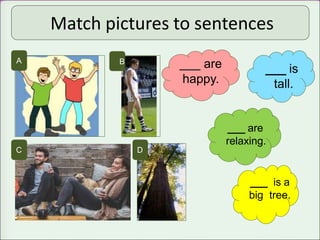 Match pictures to sentences
B
C
___ is
tall.
___ are
happy.
A
___ are
relaxing.
___ is a
big tree.
D
 