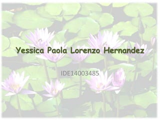 Yessica Paola Lorenzo Hernandez
IDE14003485
 