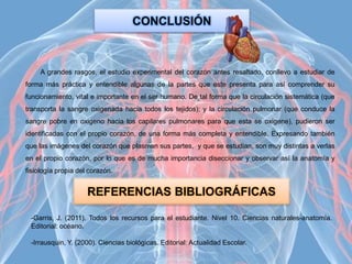 CONCLUSIÓN
A grandes rasgos, el estudio experimental del corazón antes resaltado, conllevo a estudiar de
forma más práctica y entendible algunas de la partes que este presenta para así comprender su
funcionamiento, vital e importante en el ser humano. De tal forma que la circulación sistemática (que
transporta la sangre oxigenada hacia todos los tejidos); y la circulación pulmonar (que conduce la
sangre pobre en oxigeno hacia los capilares pulmonares para que esta se oxigene), pudieron ser
identificadas con el propio corazón, de una forma más completa y entendible. Expresando también
que las imágenes del corazón que plasman sus partes, y que se estudian, son muy distintas a verlas
en el propio corazón, por lo que es de mucha importancia diseccionar y observar así la anatomía y
fisiología propia del corazón.
REFERENCIAS BIBLIOGRÁFICAS
-Garris, J. (2011). Todos los recursos para el estudiante. Nivel 10. Ciencias naturales-anatomía.
Editorial: océano.
-Irrausquin, Y. (2000). Ciencias biológicas. Editorial: Actualidad Escolar.
 