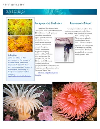 NOvember 3, 2009




  SA ILI N G

                                                  Background of Cnidarians                          Responses to Stimuli

                                                       Cnidarians were grouped with              Coral gathers information from their
                                                  Ctenophores in the phylum Coelenterata.   environment using sensory cells. Nerve
                                                  Their differences ﬁnally got them         nets are what allow coral to detect stimuli
                                                  recognized as a different                                  from a foreign object.
                                                  type of phyla. Cnidarians                                  Nerve nets are a loosely
                                                  are classiﬁed into four                                    organized set of nerve
                                                  groups. sessile Anthozoa                                   cells. Cnidarians also have
                                                  which are sea anemones,                                    statocysts which are groups
                                                  coral, and sea pens.                                       of sensory cells that help
                                                  Another is swimming                                        determine the direction of
                                                  Scyphozoa this group                                       gravity. Ocelli are eyespots
                                                  includes jellyﬁsh. Cubozoa                                 that help detect light.
   Adaption                                       is yet another type, this
   Coral can adapt to their                       group has box jelly ﬁsh.
   environment by the process of                  The last kind is Hydrozoa.
   acclimatization. This allows                   Hyrdozoa is a diverse
   organisms to adjust to their                   group that includes all the freshwater
   environments constant change in                Cnidarians as well as marine, such as
   temperature, availability of                   Portuguese Man o' War.
   food, and seasonal weather                          http://en.wikipedia.org/wiki/
   changes.                                       Cnidaria
   http://en.wikipedia.org/wiki/Acclimatization
 