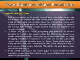 ….Lanjutan Petunjuk Kedua
• Kisah tentang pohon ara ini sebuah petunjuk yang menyatakan bahwa arak-
arakan Yesus ke Yerusalem dan kisah tentang pohon ara mungkin sebetulnya
terjadi di musim yang berbeda dalam tahun itu, ketika ranting-ranting sudah
berdaun lebat dan ketika pohon ara sudah berbuah. Kemungkinan ini memaksa
kita menduga bahwa Paskah mungkin bukanlah latar asli dan sebenarnya dari
peristiwa penyaliban.
• Di Yahudi ada perayaan Sukkot, orang-orang yang beribadah ini berziarah
berarakan ke Yerusalem dan masuk ke dalam Bait Allah, dengan tangan kanan
mereka melambai-lambaikan ranting –ranting ini dalam arak-arakan itu, orang-
orang yang beribadah ini mengutip dan menyerukan kata-kata dari Mazmur 118,
mazmur yang biasanya digunakan pada hari Sukkot. Diantara kata-katanya “Ya
Tuhan, selamatkanlah kami.” “Selamatkanlah kami” dalam bahasa ibran hosiana
atau hosanna. Diikuti dengan kata-kata “Diberkatilah dia yang datang dalam
nama Tuhan (Maz 118:26).
• Tradisi sukkot telah digeser dari musim gugur ke musim Paskah dan telah
disesuaikan dengan kisah Minggu Palma untuk memenuhi kebutuhan-kebutuhan
penafsiran para penulis Injil.
 
