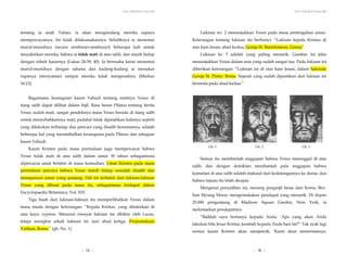Yesus Tidak Mati di Tiang Salib Yesus Tidak Mati di Tiang Salib
| 16 |
tentang ia anak Tuhan, ia akan mengundang mereka supaya
mempercayainya. Ini tidak dilaksanakannya. Sebaliknya ia menemui
murid-muridnya (secara sembunyi-sembunyi) beberapa kali untuk
meyakinkan mereka, bahwa ia tidak mati di atas salib, dan masih hidup
dengan tubuh kasarnya (Lukas 24:39, 40). Ia berusaha keras menemui
murid-muridnya dengan rahasia dan kadang-kadang ia menukar
rupanya (menyamar) sampai mereka tidak mengenalnya (Markus
16:12).
Lukisan no. 2 menunjukkan Yesus pada masa pertengahan umur.
Keterangan tentang lukisan itu berbunyi: “Lukisan kepala Kristus di
atas kain lenan, abad kedua, Gereja St. Bartolomeus, Genua”.
Lukisan ke 3 adalah yang paling menarik. Gambar ini jelas
menunjukkan Yesus dalam usia yang sudah sangat tua. Pada lukisan ini
diberikan keterangan: “Lukisan ini di atas kain lenan, dalam Sakristie
Gereja St. Pieter, Roma. Sejarah yang sudah dipastikan dari lukisan ini
bermula pada abad kedua.”
Bagaimana kesangsian kaum Yahudi tentang matinya Yesus di
tiang salib dapat dilihat dalam Injil. Rasa heran Pilatus tentang berita
Yesus sudah mati, sangat pendeknya masa Yesus berada di tiang salib
untuk menyebabkannya mati, padahal tidak dipatahkan kakinya seperti
yang dilakukan terhadap dua pencuri yang disalib bersamanya, adalah
beberapa hal yang menimbulkan kesangsian pada Pilatus dan sebagian
kaum Yahudi.
Gb. 1 Gb. 2 Gb. 3
Kaum Kristen pada masa permulaan juga mempercayai bahwa
Yesus tidak mati di atas salib dalam umur 30 tahun sebagaimana
dipercayai umat Kristen di masa kemudian. Umat Kristen pada masa
permulaan percaya bahwa Yesus masih hidup sesudah disalib dan
mempunyai umur yang panjang. Hal ini terbukti dari lukisan-lukisan
Yesus yang dibuat pada masa itu, sebagaimana terdapat dalam
Encyclopaedia Britannica, Vol. XIV.
Semua itu membantah anggapan bahwa Yesus meninggal di atas
salib, dan dengan demikian membantah pula anggapan bahwa
kematian di atas salib adalah maksud dari kedatangannya ke dunia, dan
bahwa tujuan itu telah dicapai.
Mengenai penyaliban ini, seorang penginjil besar dari Korea, Rev.
Sun Myung Moon, mengemukakan pendapat yang menarik. Di depan
25.000 pengunjung di Madison Square Garden, New York, ia
melontarkan pendapatnya.
Tiga buah dari lukisan-lukisan itu memperlihatkan Yesus dalam
masa muda dengan keterangan: “Kepala Kristus, yang dilukiskan di
atas kayu cypress. Menurut riwayat lukisan ini dibikin oleh Lucas,
tetapi mungkin sekali lukisan ini dari abad ketiga. Perpustakaan
Vatikan, Roma.” (gb. No. 1).
“Baiklah saya bertanya kepada Anda, ‘Apa yang akan Anda
lakukan bila Jesus Kristus kembali kepada Anda hari ini?” Tak syak lagi
semua kaum Kristen akan menjawab, ’Kami akan menerimanya.
| 15 |
 