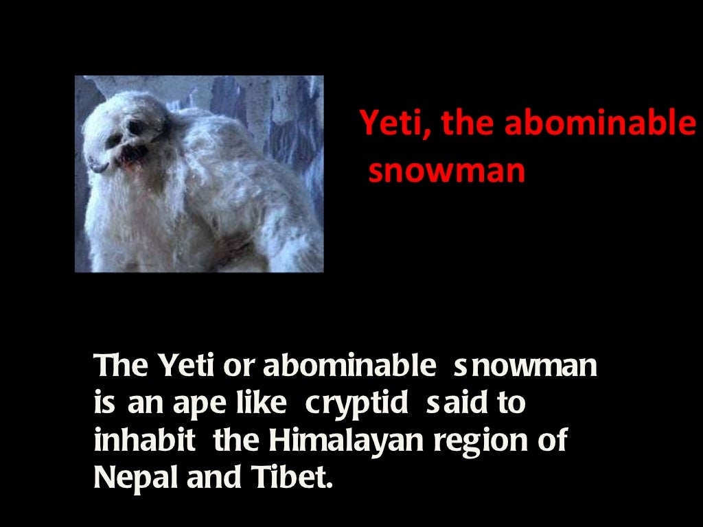 Yeti